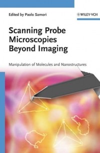 Scanning Probe Microscopies Beyond Imaging