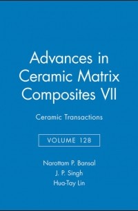 Hua-Tay  Lin - Advances in Ceramic Matrix Composites VII