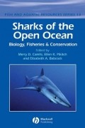 Elizabeth Babcock A. - Sharks of the Open Ocean