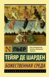 Тейяр де Шарден - Божественная среда