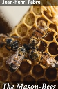 Жан Анри Фабр - The Mason-Bees