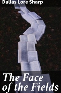 The Face of the Fields