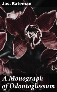 Bateman Jas. (James) - A Monograph of Odontoglossum