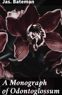 Bateman Jas. (James) - A Monograph of Odontoglossum