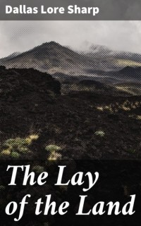 Sharp Dallas Lore - The Lay of the Land