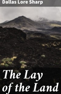 Sharp Dallas Lore - The Lay of the Land