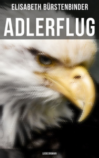 Elisabeth Bürstenbinder - Adlerflug: Liebesroman