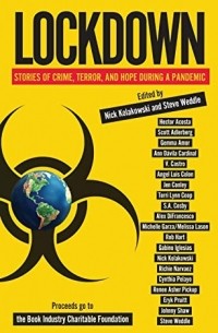 Энн Давила Кардинал - Lockdown: Stories of Crime, Terror, and Hope During a Pandemic