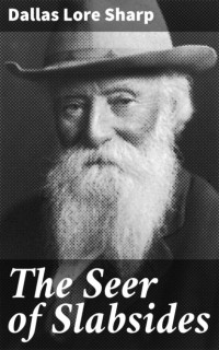 Sharp Dallas Lore - The Seer of Slabsides