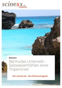 Надя Подбрегар - Bermudas Unterwelt