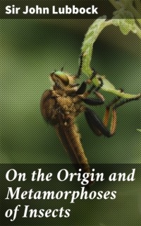 Джон Леббок - On the Origin and Metamorphoses of Insects