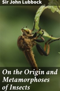 Джон Леббок - On the Origin and Metamorphoses of Insects