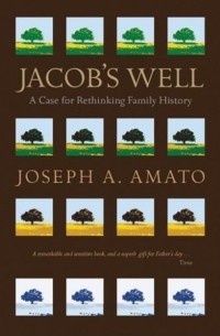 Joseph  Amato - Jacob's Well