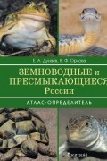 Земноводные и пресмыкающиеся России