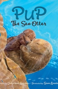 Pup the Sea Otter