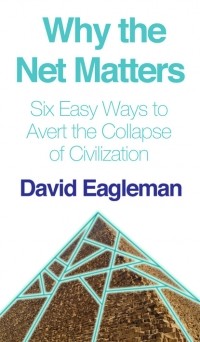 Дэвид Иглмен - Why the Net Matters