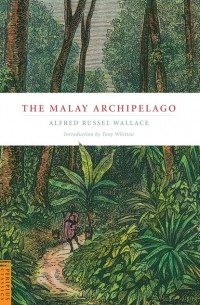 Альфред Рассел Уоллес - Malay Archipelago