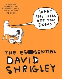 David  Shrigley - What The Hell Are You Doing?: The Essential David Shrigley