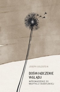 Joseph  Goldstein - Doświadczenie wglądu