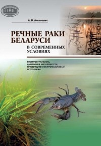 А. В. Алехнович - Речные раки Беларуси в современных условиях