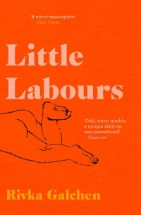 Rivka Galchen - Little Labours