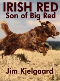 Jim Kjelgaard - Irish Red, Son of Big Red