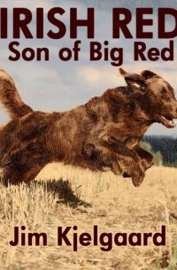 Jim Kjelgaard - Irish Red, Son of Big Red