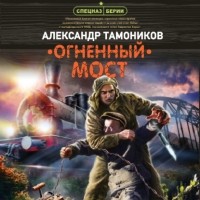 Александр Тамоников - Огненный мост