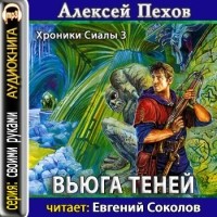 Алексей Пехов - Вьюга теней