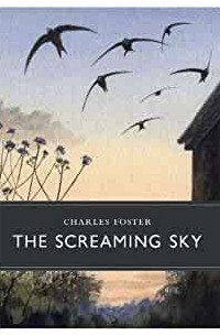 Charles Foster - The Screaming Sky