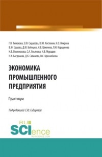 Надежда Васильевна Шмелева - Экономика промышленного предприятия: Практикум. . Учебное пособие.