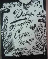 Давид Бромберг - Седые камни