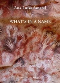 Ана Луиса Амарал - What's in a Name