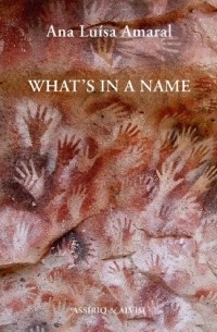 Ана Луиса Амарал - What's in a Name