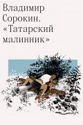 Владимир Сорокин - Татарский малинник