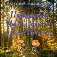 Дмитрий Фаминский - Приключения Миши и Мариши в волшебном лесу