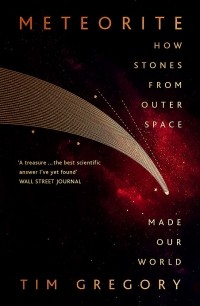 Тим Грегори - Meteorite. How Stones From Outer Space Made Our World