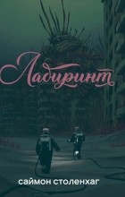 Саймон Столенхаг - Лабиринт