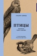 Птицы: Крылатые чудеса природы