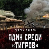 Сергей Зверев - Один среди «тигров»