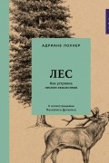Адриане Лохнер - Лес: Как устроена лесная экосистема