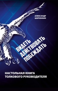 Александр Ширинкин - Видеть. Действовать. Побеждать. Настольная книга толкового руководителя