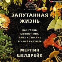 Мерлин Шелдрейк - Запутанная жизнь. Как грибы меняют мир, наше сознание и наше будущее