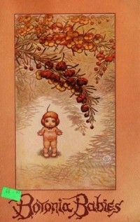 May Gibbs - Boronia babies