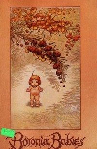 May Gibbs - Boronia babies