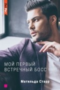 Матильда Старр - Мой первый встречный босс