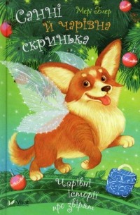 Санні й чарівна скринька