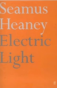 Шеймас Хини - Electric Light