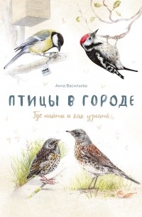 Птицы в городе. Где найти и как узнать