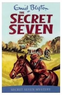 Secret Seven Mystery